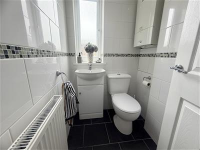 Picture 13